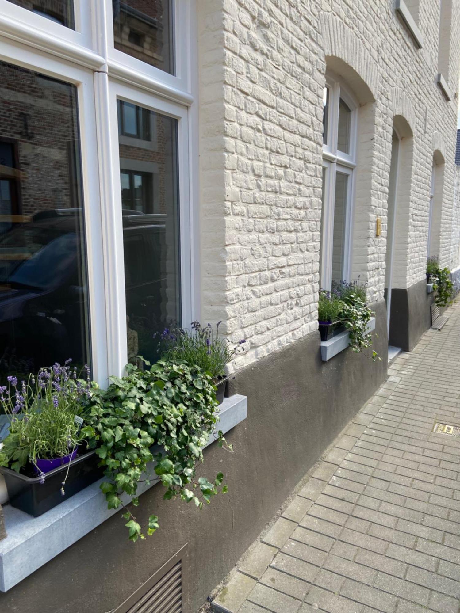 Begijnhofstudio's Tongeren Buitenkant foto